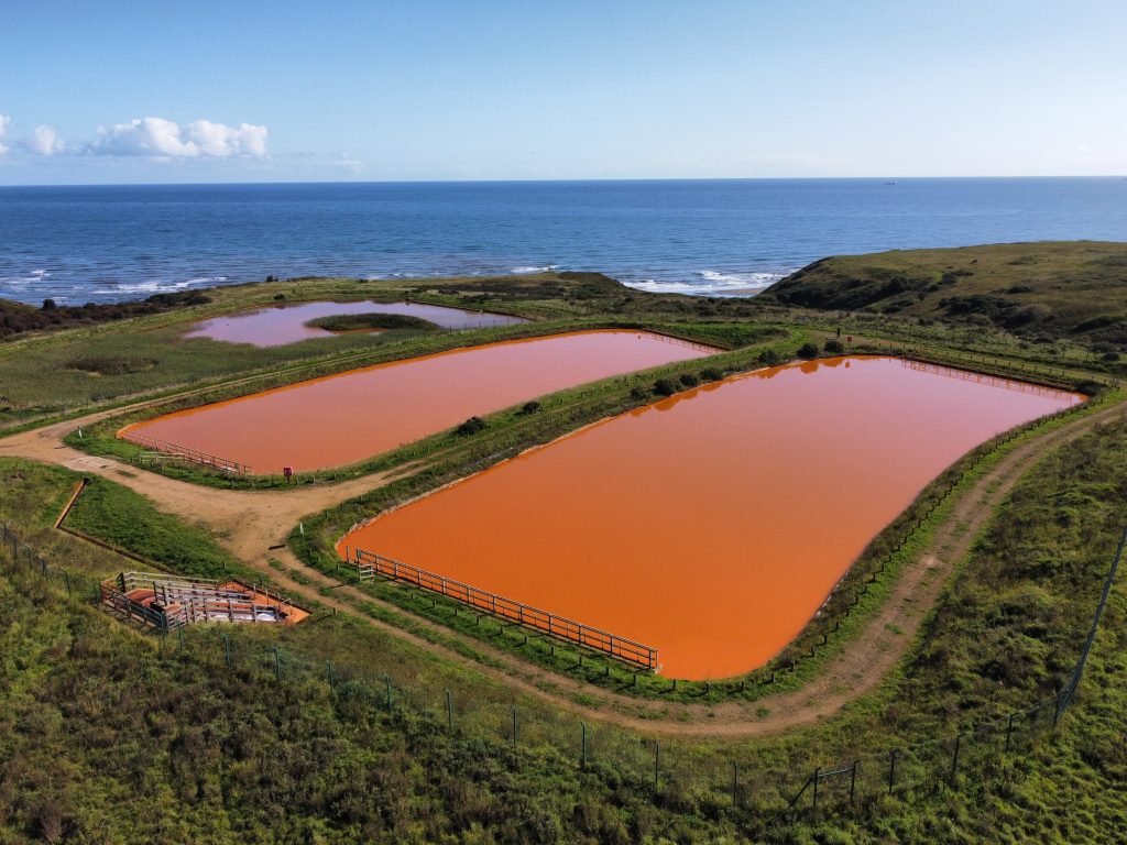 Settlement Ponds situated at the Horden site in Northumberland
